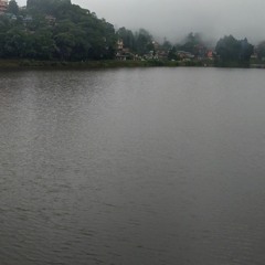 PIPO