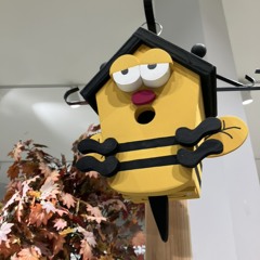 cello duela (cellophane lifeline)