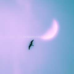 frequenciesInFlight
