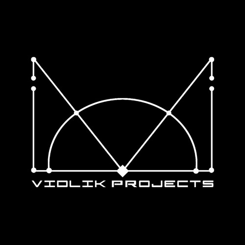 vidlik projects’s avatar