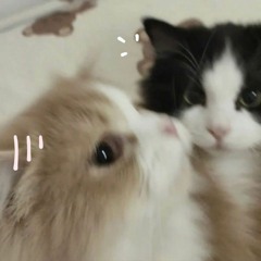 cho