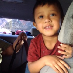 melensy