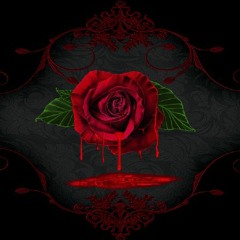 dark wolf