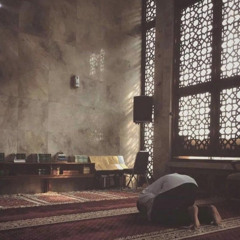 نور سَـعاده💚