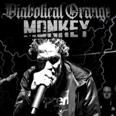 Diabolical Orange Monkey