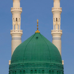 Zahra 313