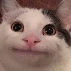 plaui