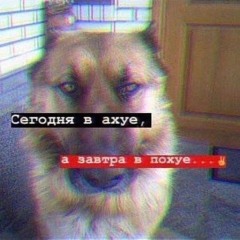 limpex