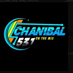 CHANIBAL™531