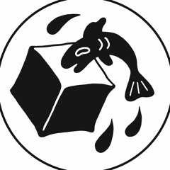 Shallow Dive Records