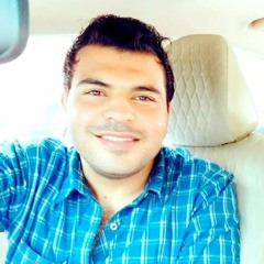 Ragab Mohsen