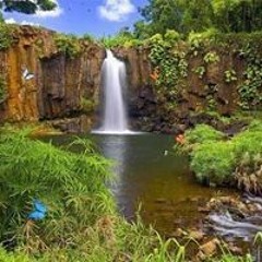 اسماء سرحان