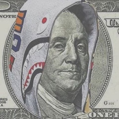 packsandracks