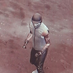 skateterror67