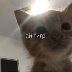tripuzik