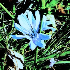 blue world, black heart