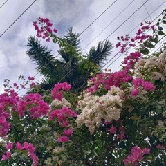 حَسناّء عبد الحَمٍيد