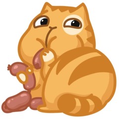 my uid eva and i like binance