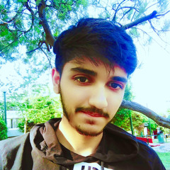 Muhammad Ashfaq