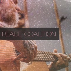 CHAD PRICE PEACE COALITION