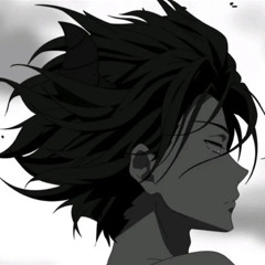 HEIDO