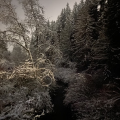scenicpotato