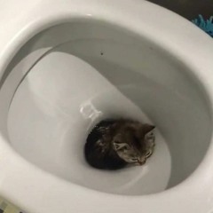 Юлия Щербачук