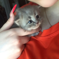 ⋆gloomy✩kitty⋆