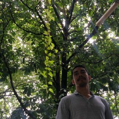 Thales