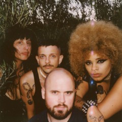 SPECIAL INTEREST N.O.