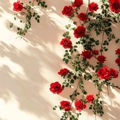 Duaa Arshad