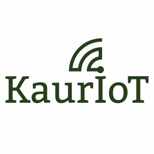 KAURIOT об IT’s avatar