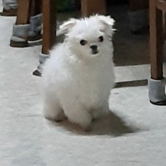김하늘