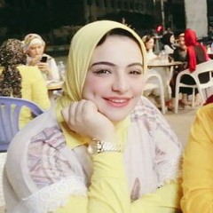 MeNna M Barakat