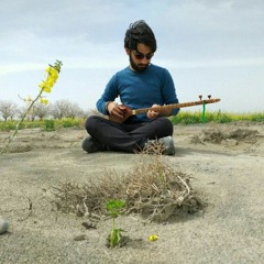 mohamad hosein davarzani