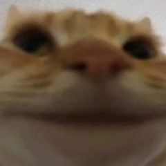 qnau