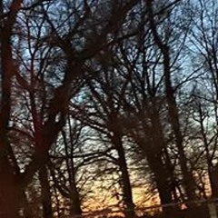 EdgarVincentSandgren5