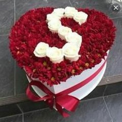 Sasa
