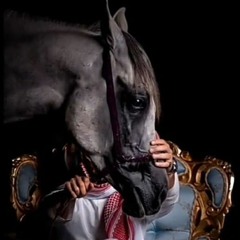 omar __,💔