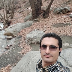 davod kamali