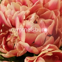 Rummelsburg