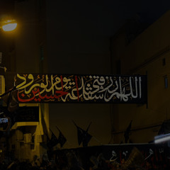 حيدر الشيخ