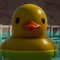 King Duck