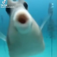 •*¨*•.¸¸☆*･ﾟ ᴡᴀʟʟɪsᴏɴɢʀᴏᴍɪᴛ ﾟ･*☆¸¸.•*¨*•