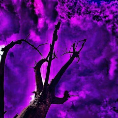 ANDREW (Prod. Svopu)