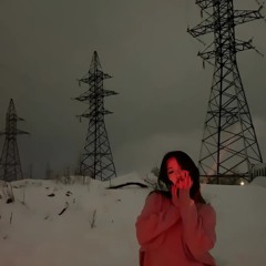 Анальный террорист