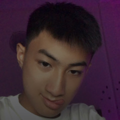 việt anh