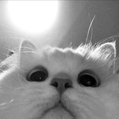 أومنياههه.💋