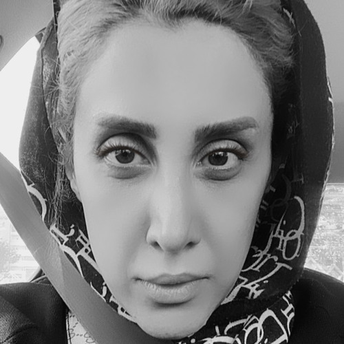 Noora Pahlavan’s avatar