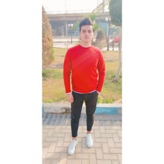 اه بحبك /همام